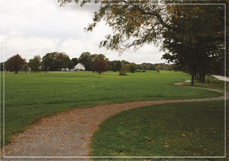 A scenic view of a grassy landscape with a winding path and trees in the background